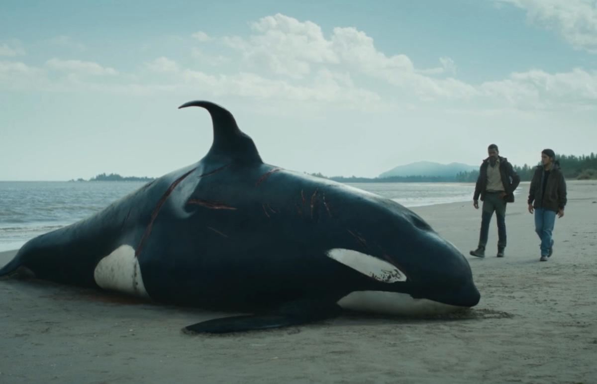 Сериал «Рой» — Про Что Кинофраншиза?