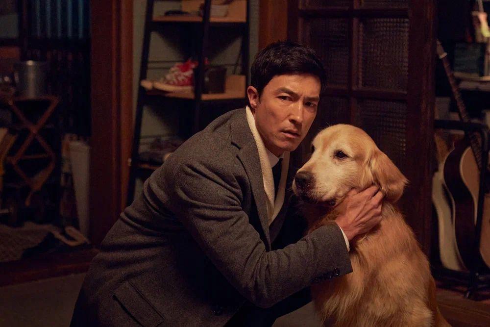 Хвостатый переполох