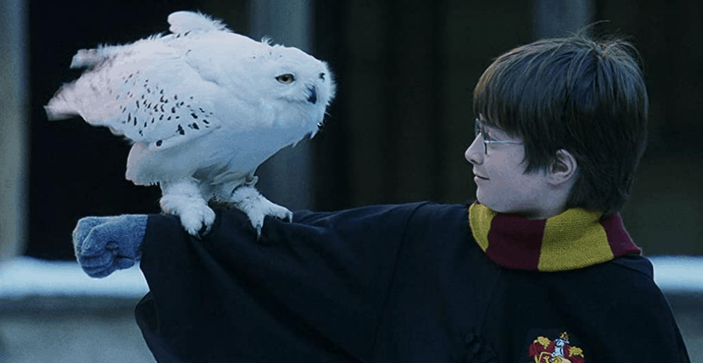 Гарри Поттер и философский камень