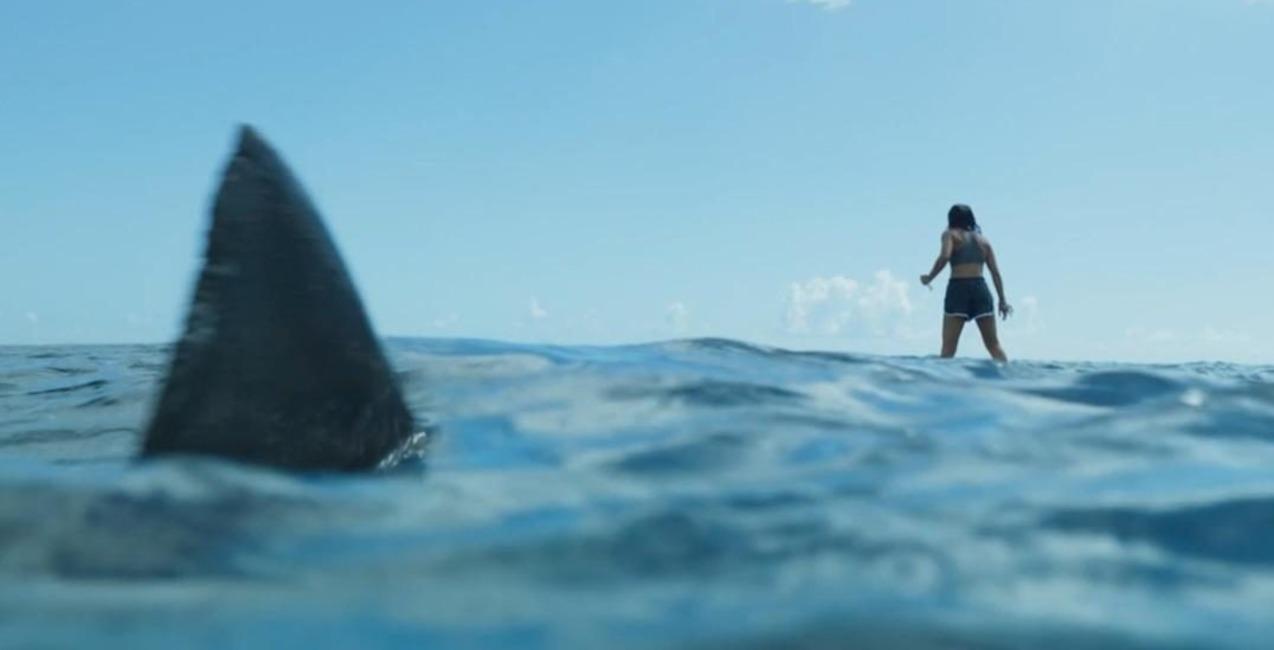 Челюсти. Кровавый риф